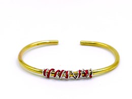 IMG20240426084223-scaled-e1738273801547