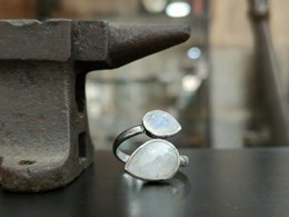 Obrador-visjuma-anillos-10