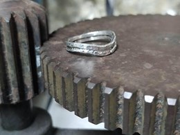 Obrador-visjuma-anillos-1