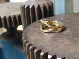 Obrador-visjuma-anillos-2