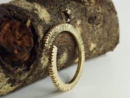 Obrador-visjuma-anillos-4